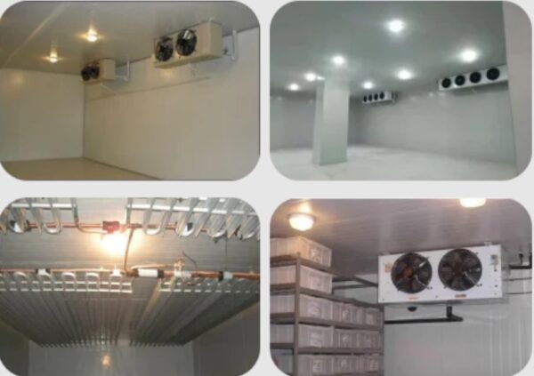 LED Globe IP65